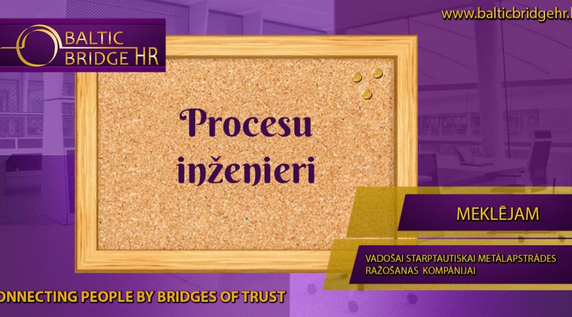 PROCESU INŽENIERIS/E
