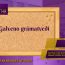 GALVENĀ/IS GRĀMATVEDE/IS